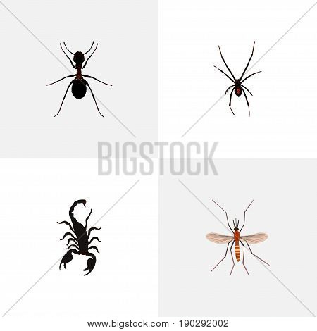 Realistic Poisonous, Gnat, Ant And Other Vector Elements. Set Of Bug Realistic Symbols Also Includes Emmet, Scorpion, Arachnid Objects.