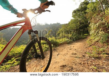 riding mountain bike on sunrise forest trail