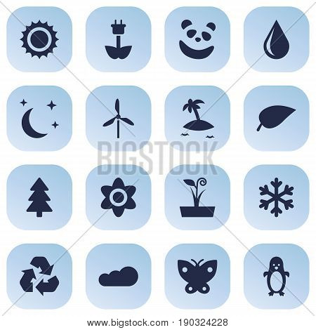 Set Of 16 Nature Icons Set.Collection Of Blob, Green Power, Polar Bird And Other Elements.