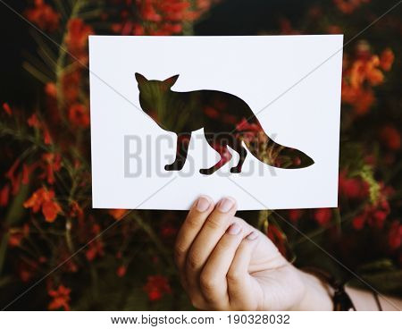 Hand Hold Fox Paper Carving with Nature Background