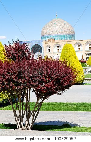In Iran   The Old  Square