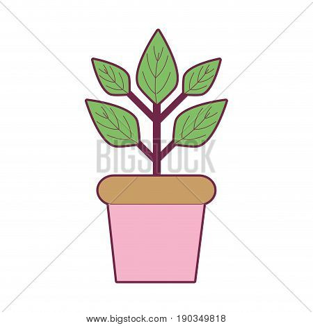 plant inside flowerpot to ecology preservation vector illustration