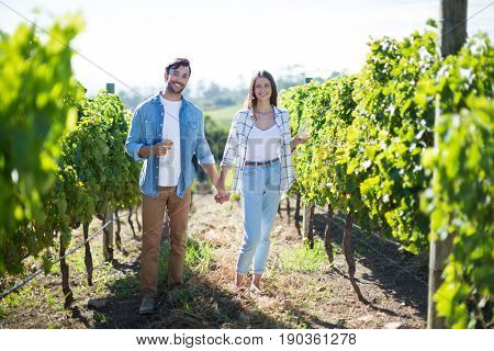 Portrait of couple with holding hands enjoying wine while standing at vineyard