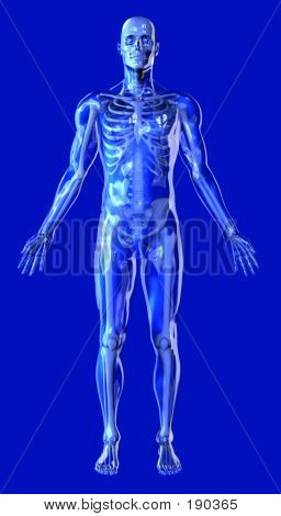 Homme bleu clair avec squelette