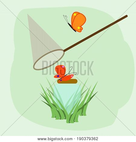 Cartoon illustration with colorful flying butterflies net and glass jar in the grass on the green background. Spring or summer image for design.