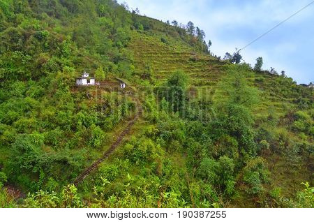 Way to little temple on hill near Landruk, Annapurna Conservation Area, Himalaya Mountains, Nepal
