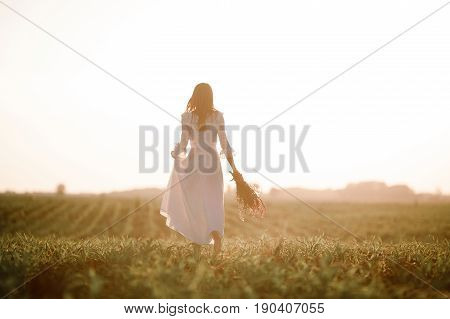 Young woman in long white lace dress on cornfield. She goes barefoot with bouquet of wild flowers in her hands. Back view.