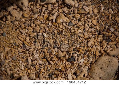 The Texture Of Sand And Stones From The Beach