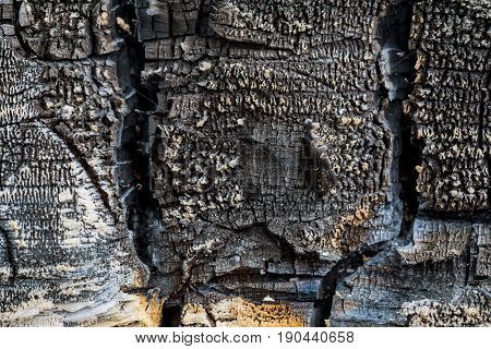 Wooden Texture, Wooden Background.