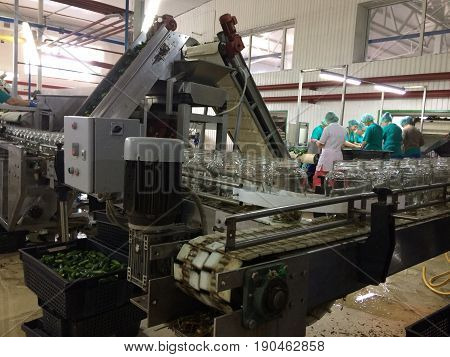 Working process of the production of cucumbers on cannery. Pasteurization of cans. Movement on the conveyor.