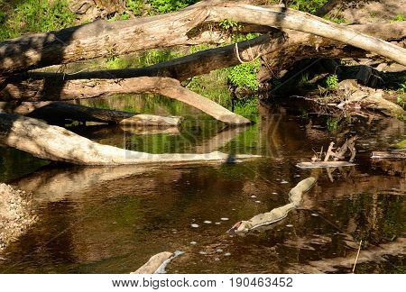 View of the river Sablinka at sunny summer day Leningrad Region Russia.