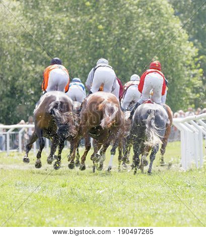 STOCKHOLM SWEDEN - JUNE 06 2017: Rear view of jockeys riding race horses in a curve at Nationaldags Galoppen at Gardet. June 6 2017 in Stockholm Sweden