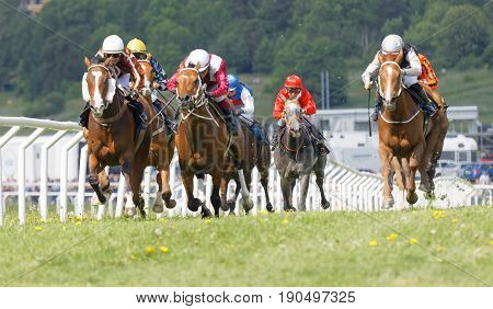 STOCKHOLM SWEDEN - JUNE 06 2017: Tough fight between the jockeys riding race horses at Nationaldags Galoppen at Gardet. June 6 2017 in Stockholm Sweden