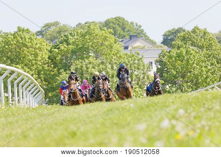 STOCKHOLM SWEDEN - JUNE 06 2017: Fight between jockeys riding arabian race horses in a trees in the background at Nationaldags Galoppen at Gardet. June 6 2017 in Stockholm Sweden