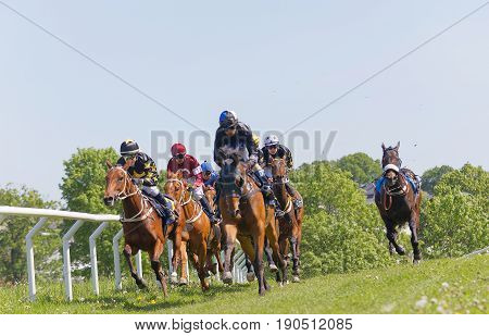 STOCKHOLM SWEDEN - JUNE 06 2017: Fight between jockeys riding arabian race horses trees in the background at Nationaldags Galoppen at Gardet. June 6 2017 in Stockholm Sweden