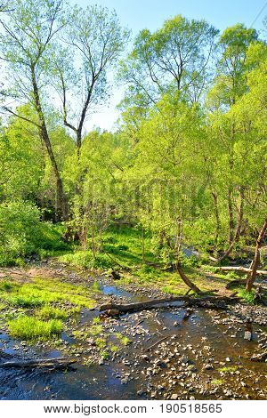 View of the river Sablinka at sunny summer day Leningrad Region Russia.
