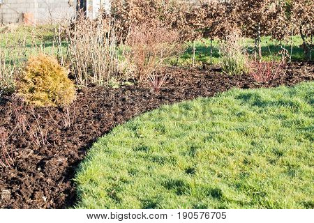 Gardening a flower bed which has been dug over and mulched