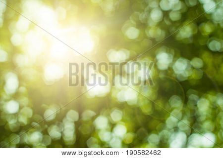 Blurred nature background.Backdrop with color and bright sun light. Summer holidays concept.bokeh background or Christmas background.Green Energy.Christmas Blurred.white sun spring pattern color art glowball,.