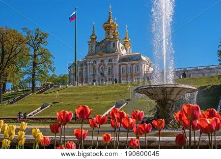 Petergof, Russia - June 5, 2017: The building of the church building. Flowers are in the foreground. In the back there is a church, a flagstaff and a fountain. Peterhof is called the capital of fountains.