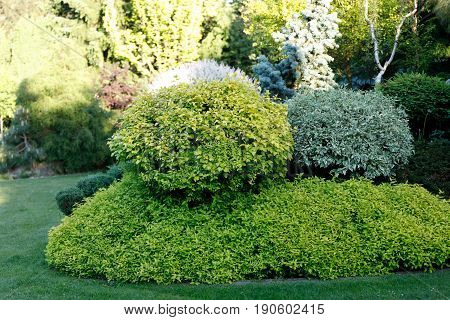 Colorful Spring Garden