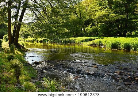 Oslava River. Beautiful Landscape. Natural Scenery With Sky And Clouds. Czech Republic, Europe.