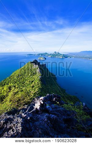 Amazing summer landscape with mountains sea blue sky sun and beautifulViewpoint Prachuap Bay.The dusky leaf monkey spectacled langur or spectacled leaf monkey.
