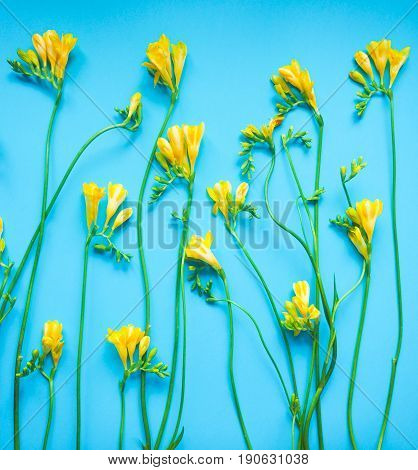 Seamless Floral Pattern On A Blue Background