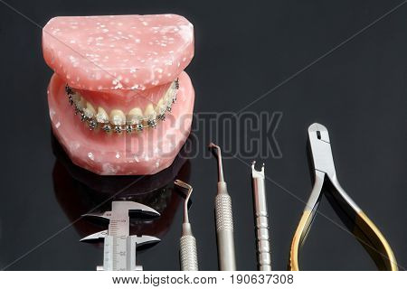 Human jaw or teeth model with dental braces and dentist tools closeup