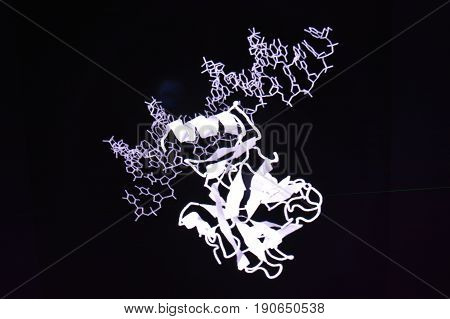 Research in the field of proteomics. New technologies for the study of biological macromolecules.