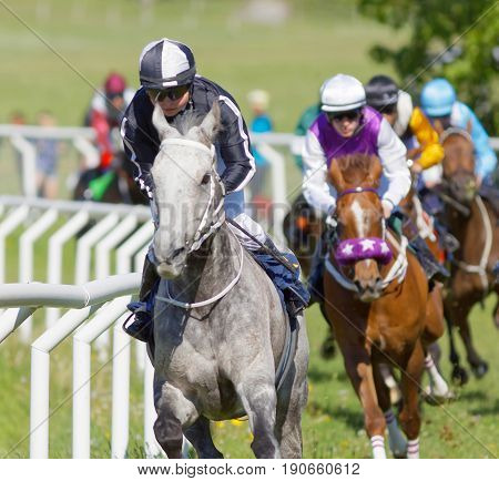 STOCKHOLM SWEDEN - JUNE 06 2017: Closeup of coloful jockeys on gallop arabian race horses storming ahead in a curve at Nationaldags Galoppen at Gardet. June 6 2017 in Stockholm Sweden