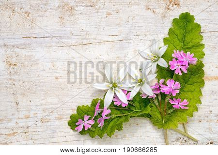 Corner Frame From Ornithogalum And Phlox Subulata Flowers And Leaves On A Wooden Background With Cop