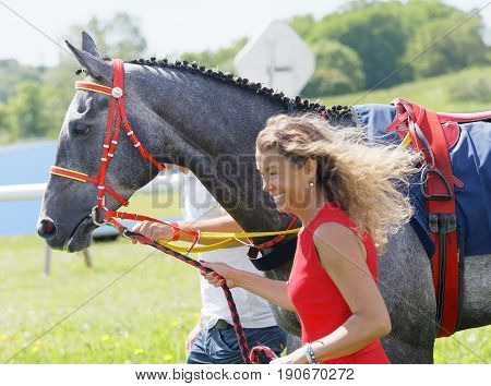 STOCKHOLM SWEDEN - JUNE 06 2017: Smiling woman leading a gallop arabian race horse in the vault at Nationaldags Galoppen at Gardet. June 6 2017 in Stockholm Sweden