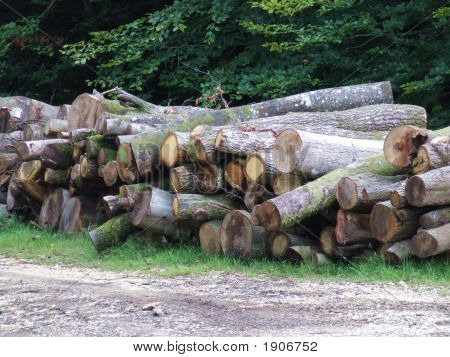 Logpile_01