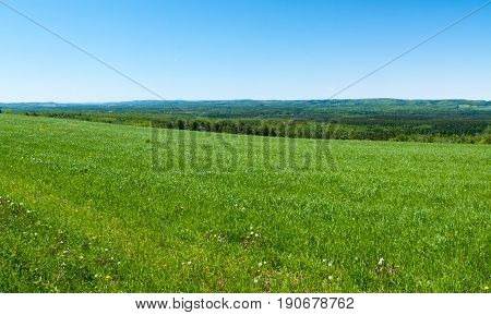 Spring farm fields near Sussex overlooking the valley