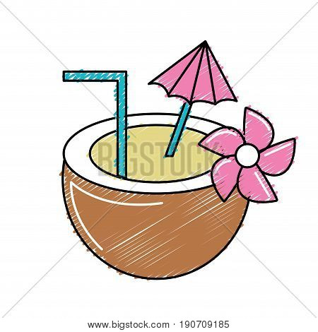 tasty coconut water to refresh the day vector illustration