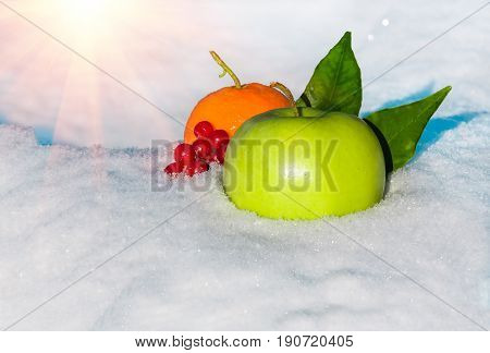 green delicious Christmas apple orange berries of viburnum and leaves in snow with before Christmas in sunny winter afternoon