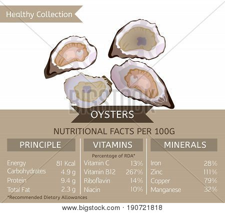 Oysters health benefits. Vector illustration with useful nutritional facts. Essential vitamins and minerals in healthy food. Medical, healthcare and dietary concept.