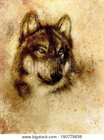Wolf painting, old paper background and sepia effect