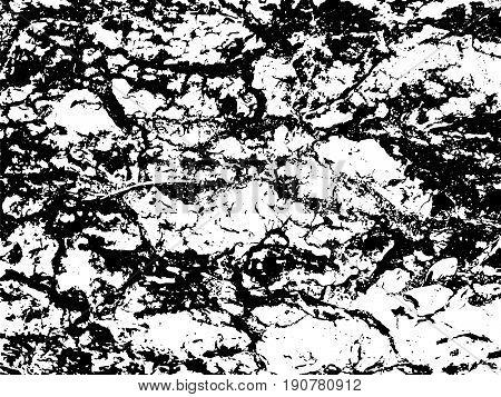 Rough wood bark monochrome vector texture. Obsolete texture of timber board. Distressed overlay for vintage effect. Grit overlay with weathered lumber. Old wooden surface with cracks. Tree board