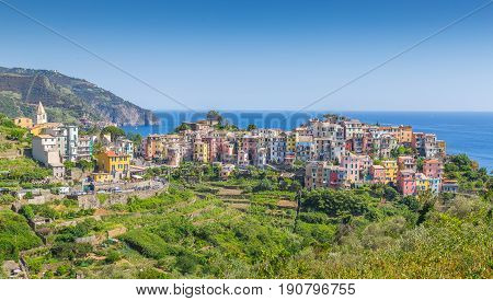 Corniglia Cinque Terre Liguria Italy Picture Panorama