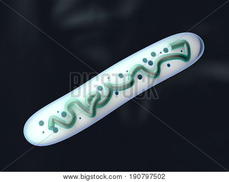 3D Illustration of a anatomically correct Lactobacillus Bacteria.