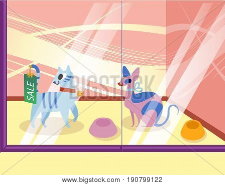 Illustration of a petshop with cats. Lovely cartoon animals in the showcase. vector