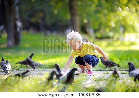 Toddler Boy Walking In The Park And Feeding Pigeons
