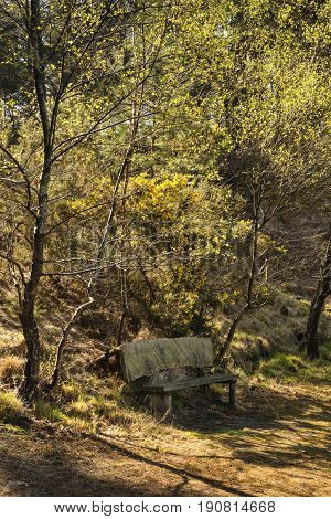 Beautiful Vibrant Landscape Image Of Old Bench Lakeside To Old Clay Pit Lake