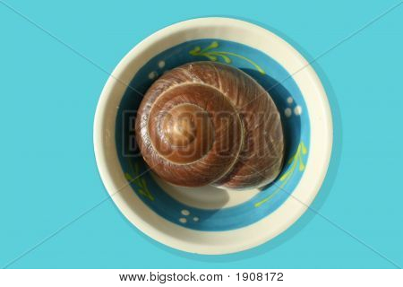 Snigel-skal på en tallrik