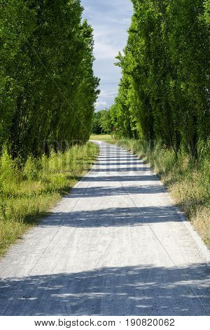 Springtime landscape in the park of Grugnotorto between Milan and Monza (Brianza Lombardy Italy) path