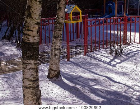 the bird feeder on the tree, Moscow
