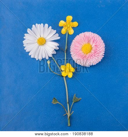 Live colorfull flowers panno on blue bakcground