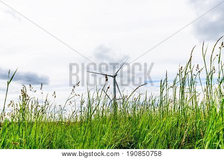 Day view wind power turbines generate electricity.