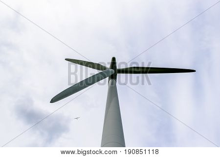 Day view wind power turbines generate electricity.